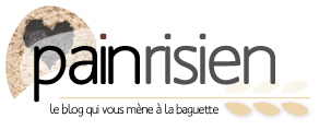 painrisien