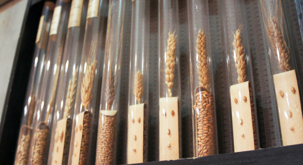 Comme un clin d'oeil à l'attachement de Benoît Castel aux matières premières, on trouve en boutique des tubes présentant des grains de blés... essentiels pour une farine de qualité !