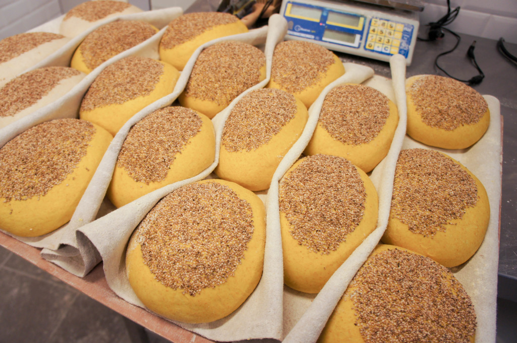 Les pains siciliens (farine de blé dur & huile d'olive) au curcuma sur couche. Du sésame est disposé en topping pour apporter du craquant.