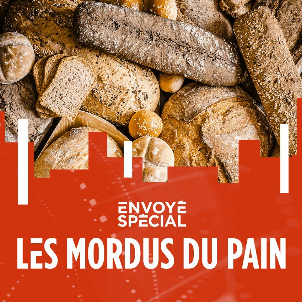 Epiphanie La Mie de Pain 2020 : La fève est dans le sac - Boulangerie la  Mie de Pain